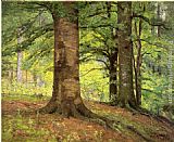 Theodore Clement Steele Canvas Paintings - Beech Trees